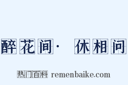 醉花间·休相问是什么意思的图片